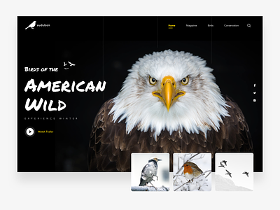 Audubon Hero Website Design