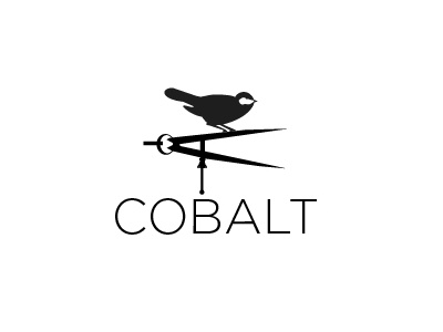 Sanjay File Cobaet 01 birds designs ecological environment logo