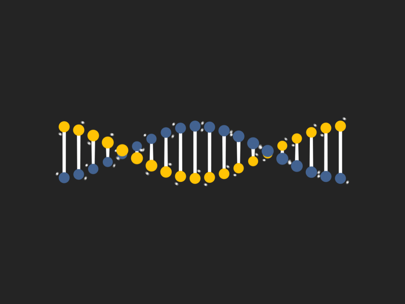 DNA Fake 3D adn adobe after effects aftereffects animation animation 2d biological biology body cell dna fake 3d fake3d flat art illustration motion design motion graphic motiondesign science scientist
