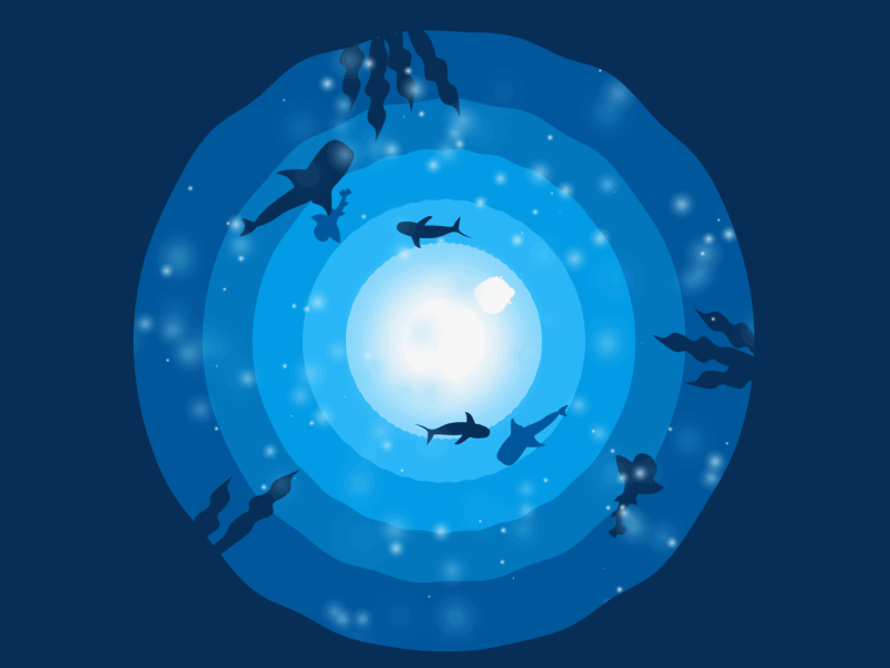 Deep Blue adobe after effects animation fish flat art illustration sea sea creatures summer under blue under the sea under water