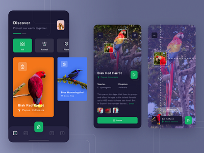 Birday - Animal Conservation App animal app design apps charity conservations donate earth iphone x support ui ux