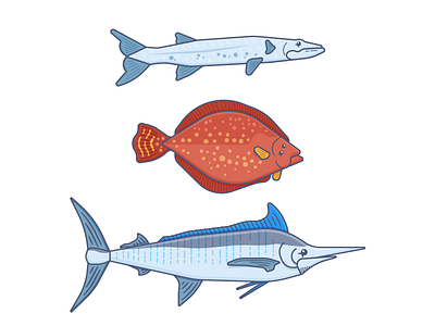 Fishes baracoda branded character fish fishing flounder marlin ocean life sea life wildlife