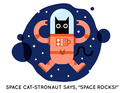 Cat-stronaut astronaut cat character childrens book kitty rock on space storybook
