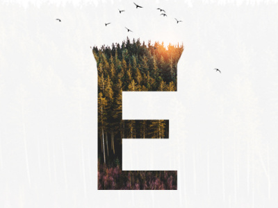 Double Exposure alphabet art business design double exposure e forest graphic design illustration manipulation mockup photoshop ui visual design