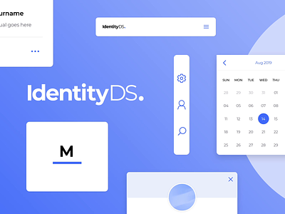 IdentityDS. brand and identity brand assets ci design system design systems sketch ui ui design ui kit ui kits ux