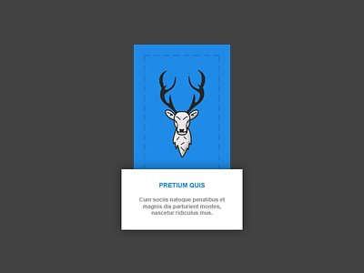 Animals Card app card design icon illustration logo ui ux vector