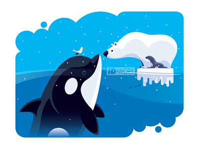 polar bear communicating with orca