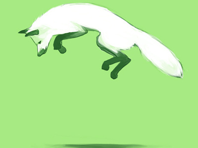 Spring Fox fox illustration