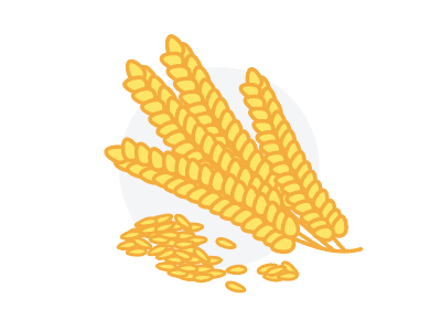 Whole Grains grain icon illustration vector wheat