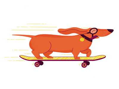 Skater Doge animals brand character brand illustration brand mascot digital illustration dog fourplus illustration procreate skater
