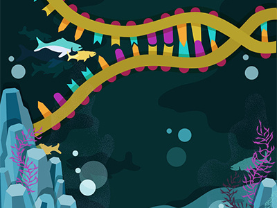DNA replication 1/4 illustration science vector