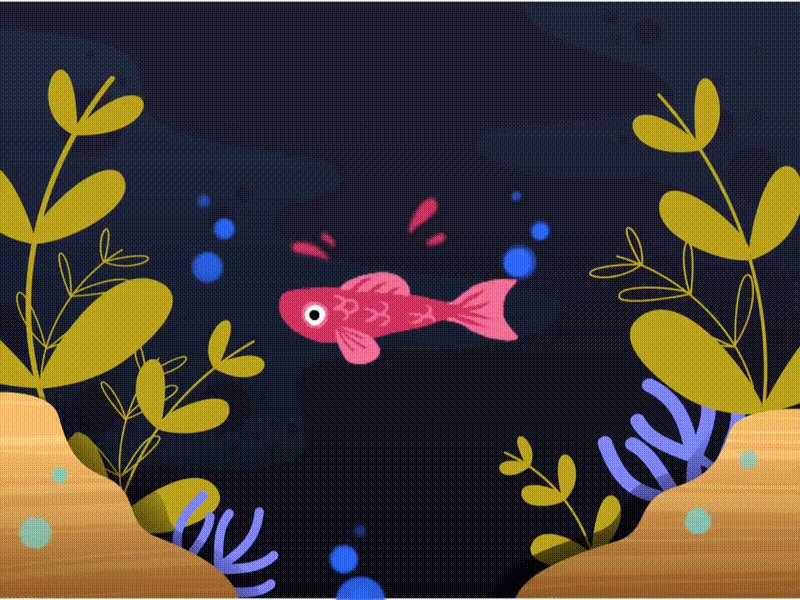 Blowfish animals biology fish gif illustration motion animation motion graphic popular science vector