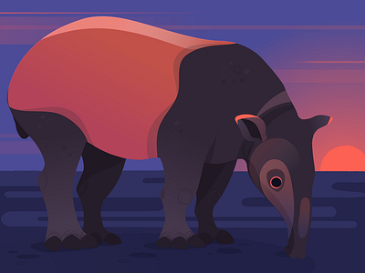 Tapir animals biology illustration nature procreate science science illustration tapir texture vector