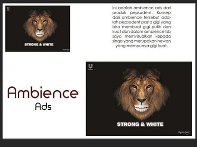 Ambience Ads adobe photoshop ambience