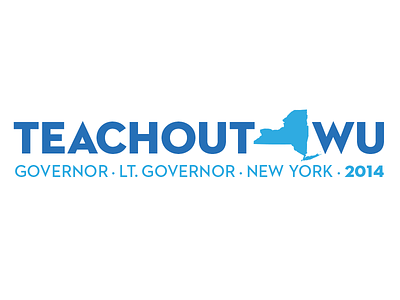 Teachout/Wu 2014 campaign election governor new york ny politics