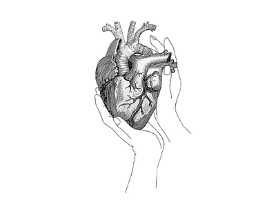 Heartful anatomical heart illustration line art line work monochrome