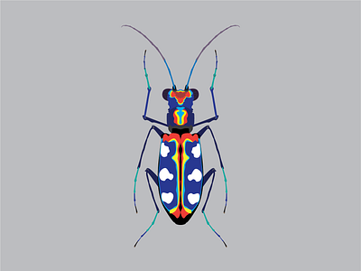 Blue spotted tiger beetle design flat illustration vector