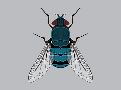 Blue bottle fly design flat illustration vector