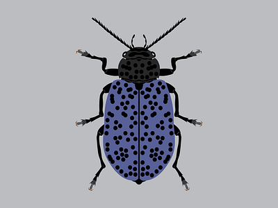 Blue fungus beetle design flat illustration vector
