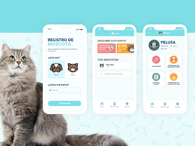 Pet's Health App app app design blue health healthcare minimal mobile pet pet app pet care ui ux