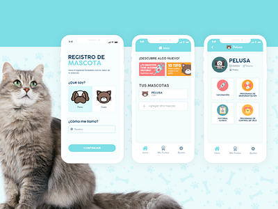 Pet's Health App