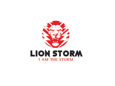 LION STORM company ilustration lion logo storm