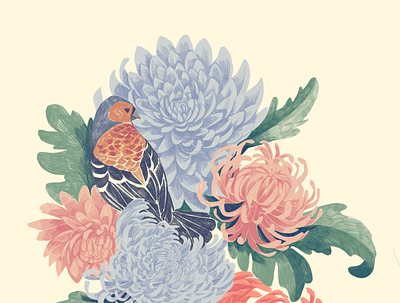 fringilla animal bird digital painting drawing fauna floral flower fresco illustration mums nature pencil procreate