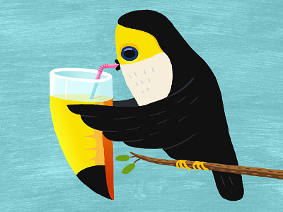 Tucan Drink bird drink straw tucan