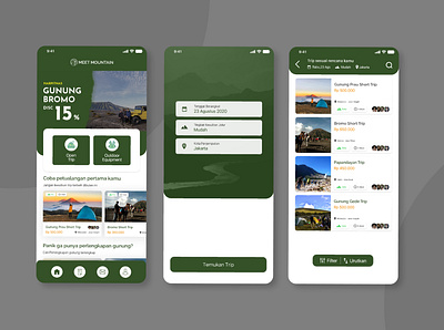 Meet Mountain (travel app) app booking checkout design filters mobile mountains outdoor ticket travel ui ux