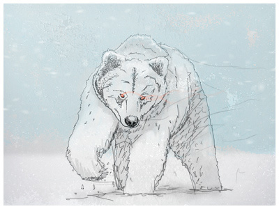 Bear bear blue cold drawing winter