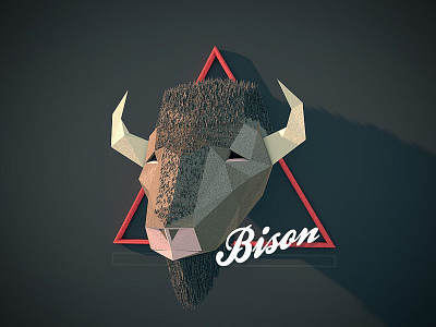 Bison