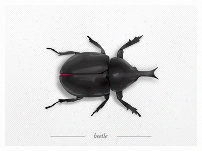 B - Beetle By Bjørn Endre Langeland On Dribbble