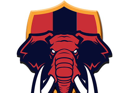 Bellary Tuskers team logo