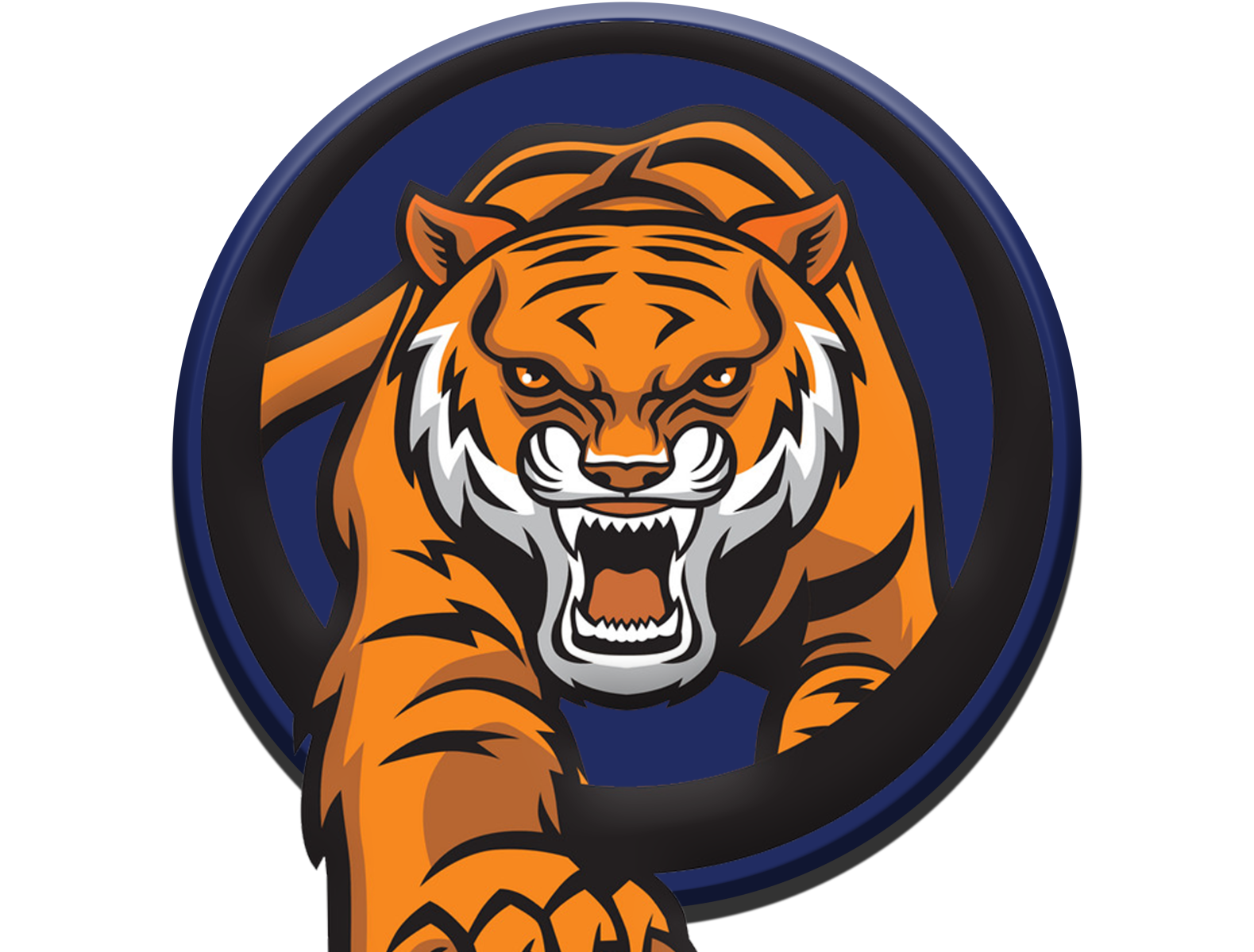 Vector Tiger Face Icon Tiger Tiger Logo, Tiger Face, Tiger Vector, Tiger PNG  and Vector with Transparent Background for Free Download