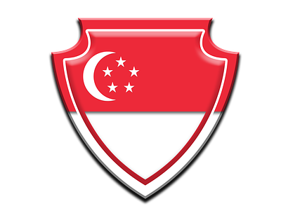 Singapore national cricket team concept creative cricket cricket app cricket logo design duggout graphic design icon jiga logo