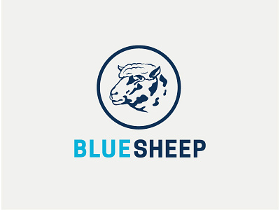 Blue Sheep Logo sheep