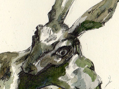 Hare Detail animal brown bunny ears eye gray green grey hare illustration ink mammal nervous pen quick small watercolor