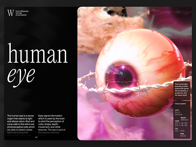 Human Eye Longread 3d abstract article branding design graphic design longread typography ui web wikipedia