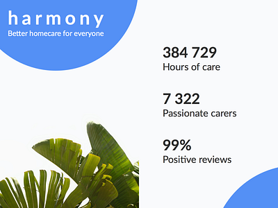 Brand Identity - home care marketplace