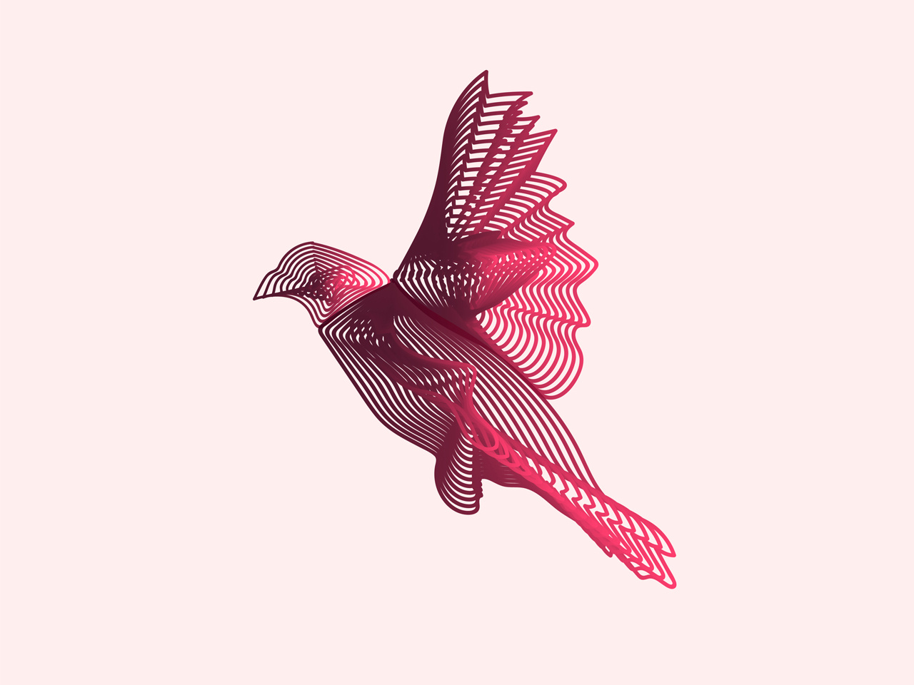 Download Bird Vector Design - Blend Tool, Adobe Illustrator by Ciuca Cristi on Dribbble