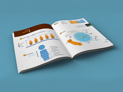 MIR Annual Report Infographics colorful education financial illustration infographics layout locations maps