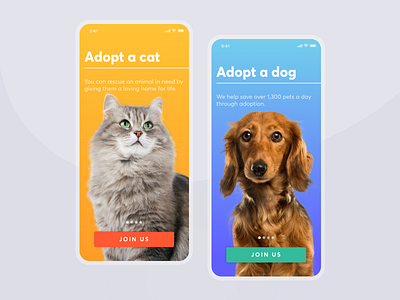 Pet Adoption adoption animal app art bright business cat design digital dog gradient gradients illustration minimal mobile pet typography ui ux vector