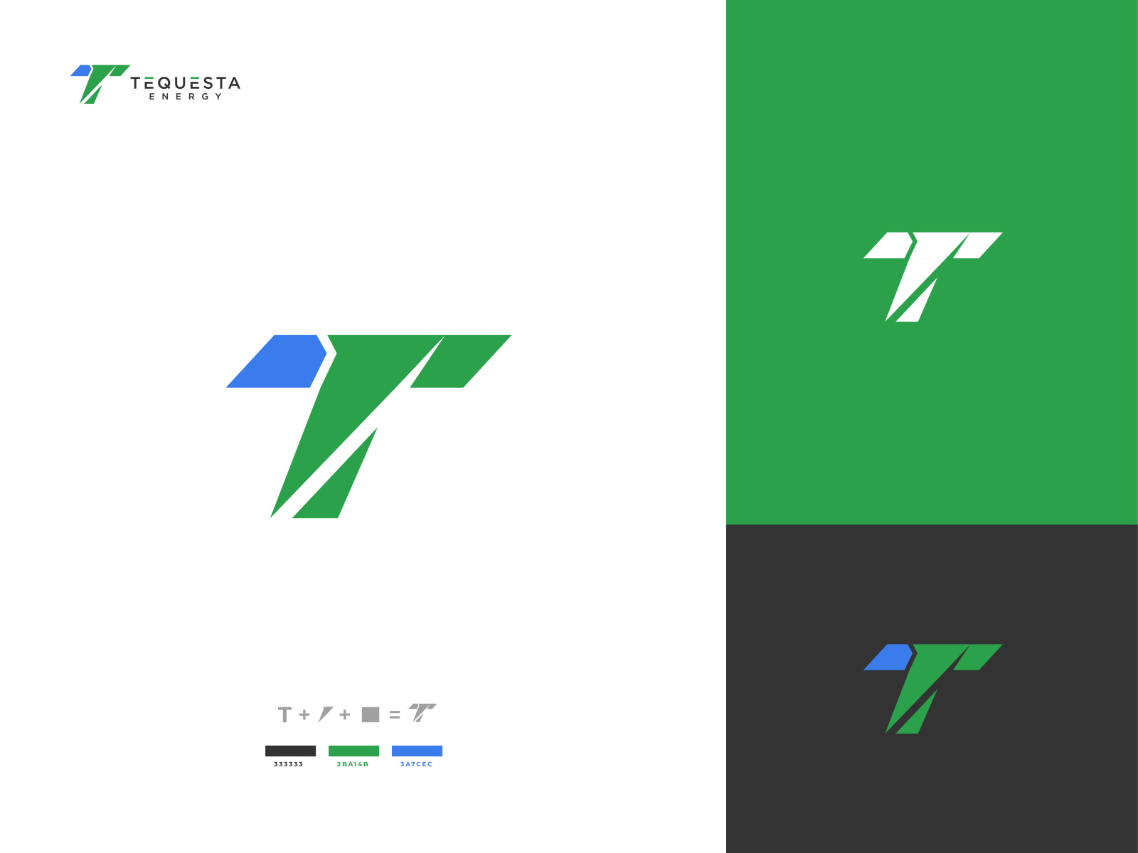 TEQUESTA by Rejaul Karim Logo & Brand identity Designer on Dribbble