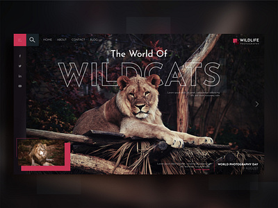 WILDLIFE - Web UI adventure animal app design extinct forest landing page photography photography website tiger ui uiux wildcats wildlife photography zoo