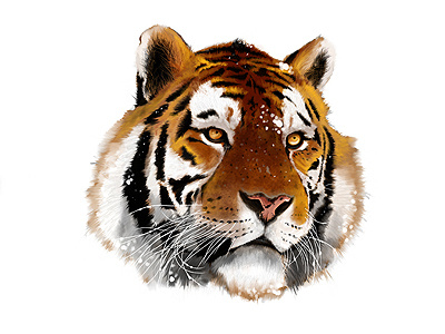 Tiger animal art illustration painting tiger