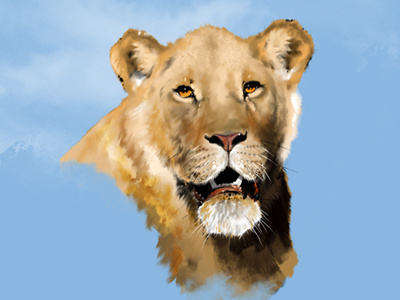 Lioness animal art lioness painting
