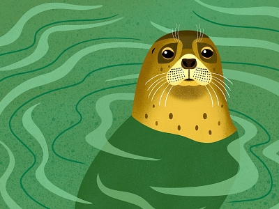 Leopard Seal animals animals illustrated childrens books digital art editorial editorial illustration graphic art illustration illustrator leopard seal nature nicole wilson seal sketch