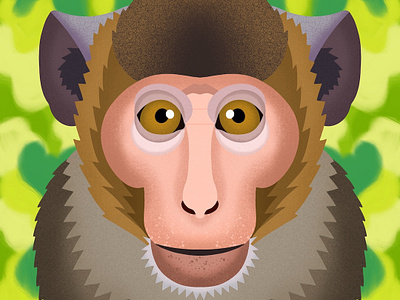 Rhesus Macaque animals animals illustrated branding childrens books colorful design digital art editorial editorial illustration food graphic art illustration illustrator kid lit monkey monkeys nicole wilson vector