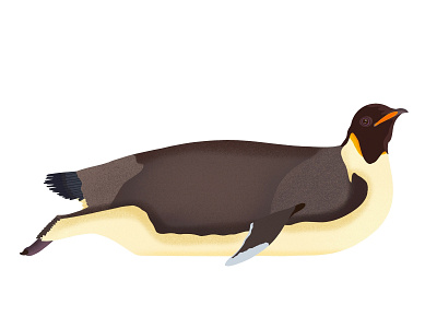 Emperor Penguin