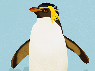 Rockhopper Penguin advertising animals animals illustrated branding childrens books colorful design digital art editorial editorial illustration food graphic art illustration illustrator kid lit logo nicole wilson vector